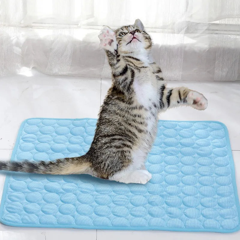 ChillPaws Ice Silk Pet Mat🧊