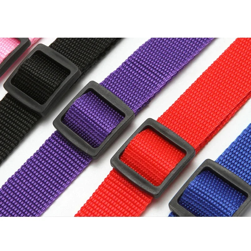 PetSafe Car Seat Belt Harness