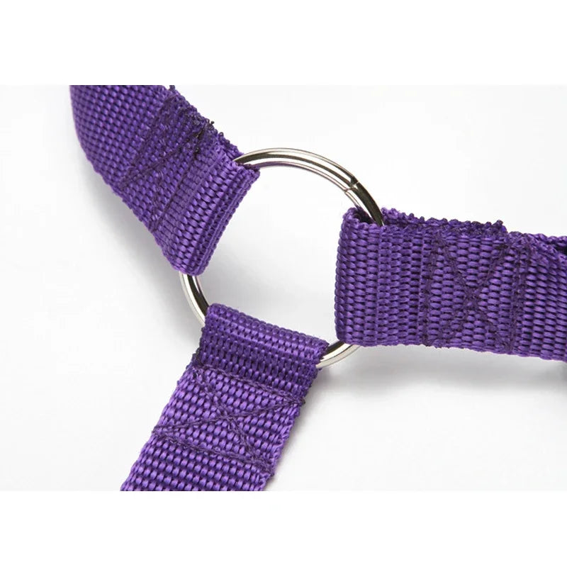 PetSafe Car Seat Belt Harness