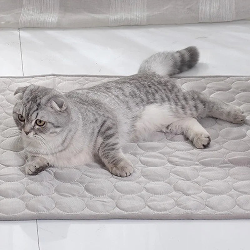 ChillPaws Ice Silk Pet Mat🧊