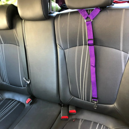 PetSafe Car Seat Belt Harness